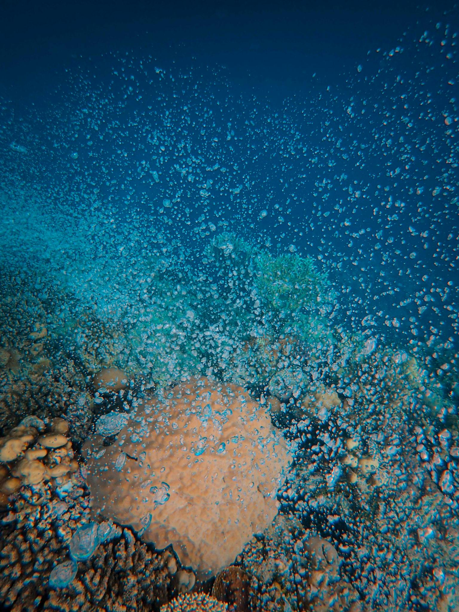 A stunning underwater view of coral reef surrounded by air bubbles, displaying vibrant marine life colors.
