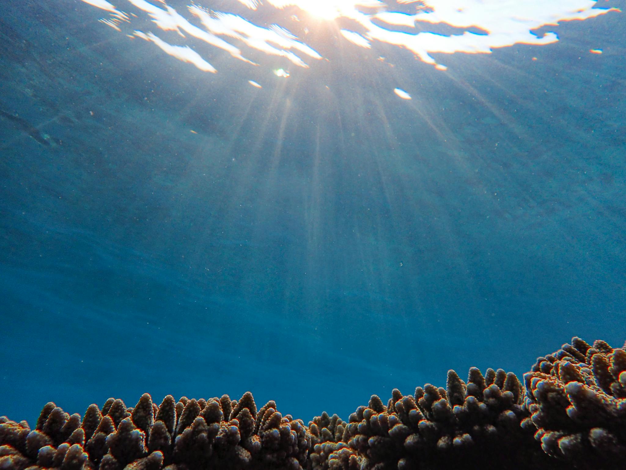 Captivating underwater scene with sunlight streaming through the clear ocean water onto a vibrant coral reef.